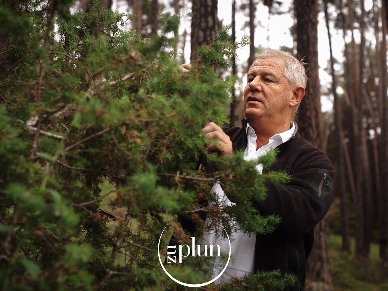 Festival del gusto Dolomites: degustazione distillati delle Dolomiti "Zu Plun" - Regione dolomitica Alpe di Siusi - #2 - suedtirol.info