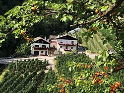 Nalserbacherhof