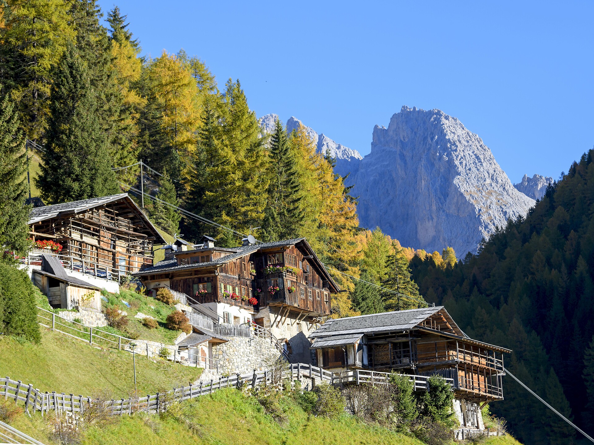 Insight into Rural Life – Guided Traditional Farm Walk - Dolomites Region Val Gardena - #3 - suedtirol.info