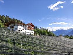 Prünsterhof
