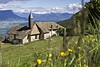 Feriendestination Castelfeder/Marion Lafogler