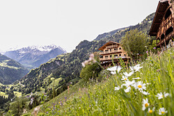 Urlaub auf dem Bauernhof Niedersteinhof