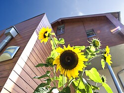 Mittendorf Klimaresidence
