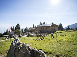 Rifugio Hochganghaus