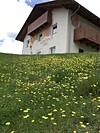 Residence Dilitz