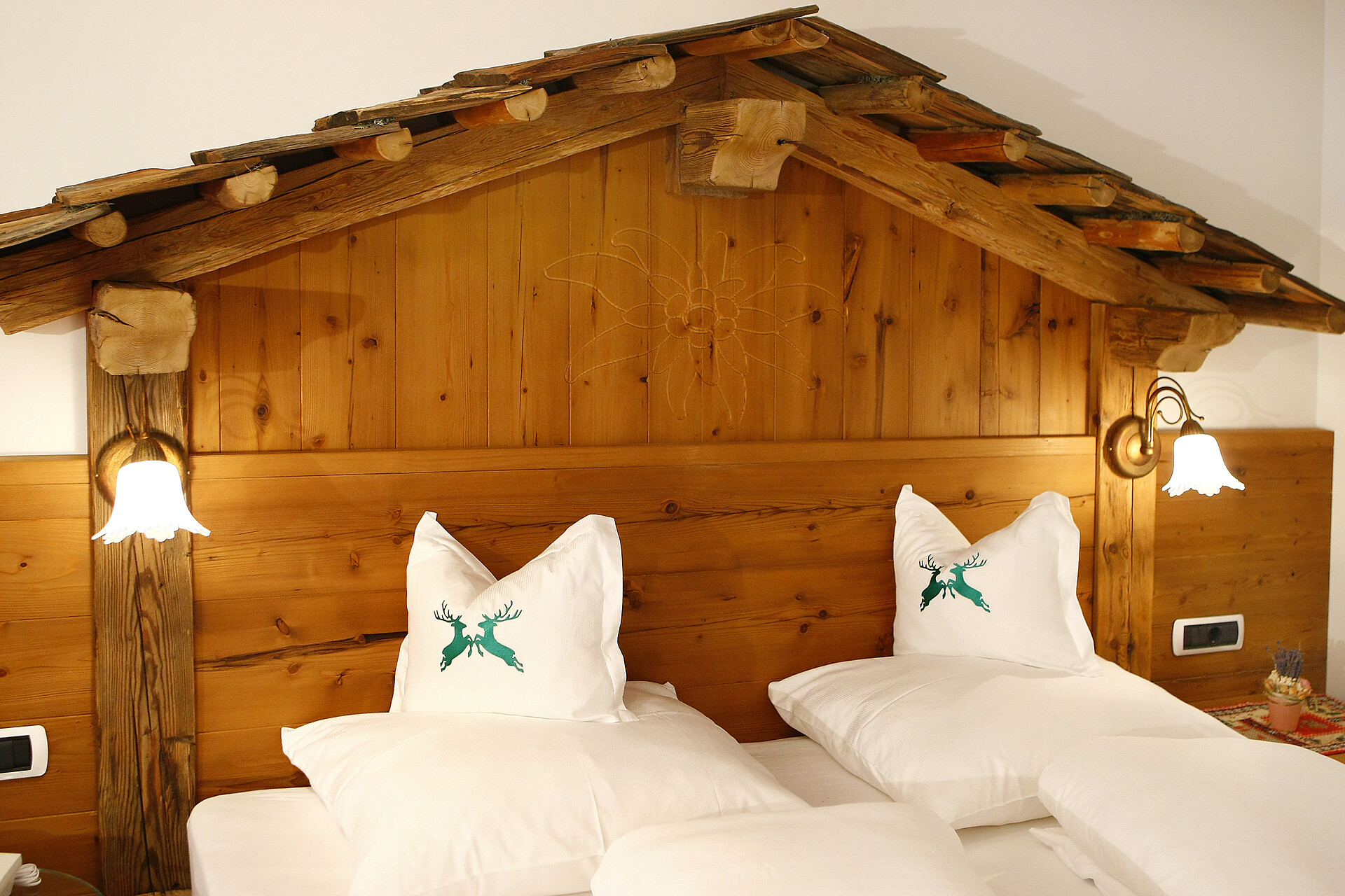 Camera EDELWEISS
