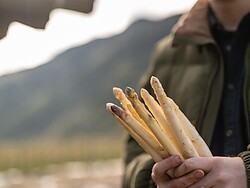 Visita guidata alle delizie della stagione degli asparagi a Köfelgut