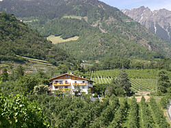Pfaffegandhof