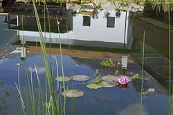 Bauernhof Gapphof