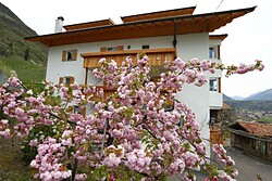 Bucherhof