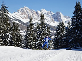 Monte Pana - Saltria