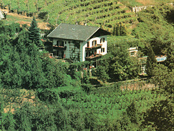 Apartments Erlkönig