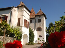 Tenuta Goldegg