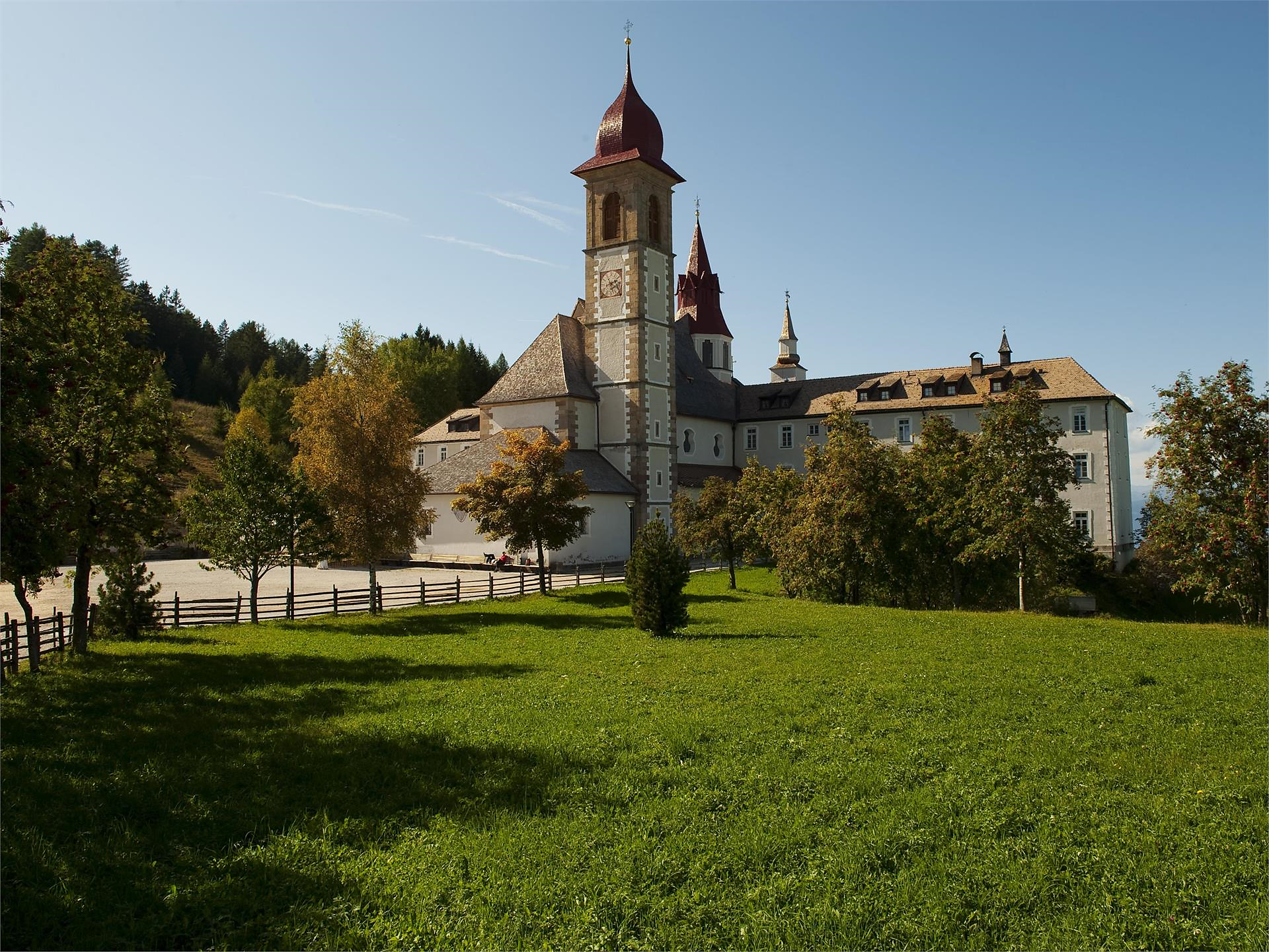 Escursione naturalistica dal Passo Oclini a Pietralba - Regione dolomitica Val d'Ega - #2 - suedtirol.info