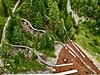 Speikboden