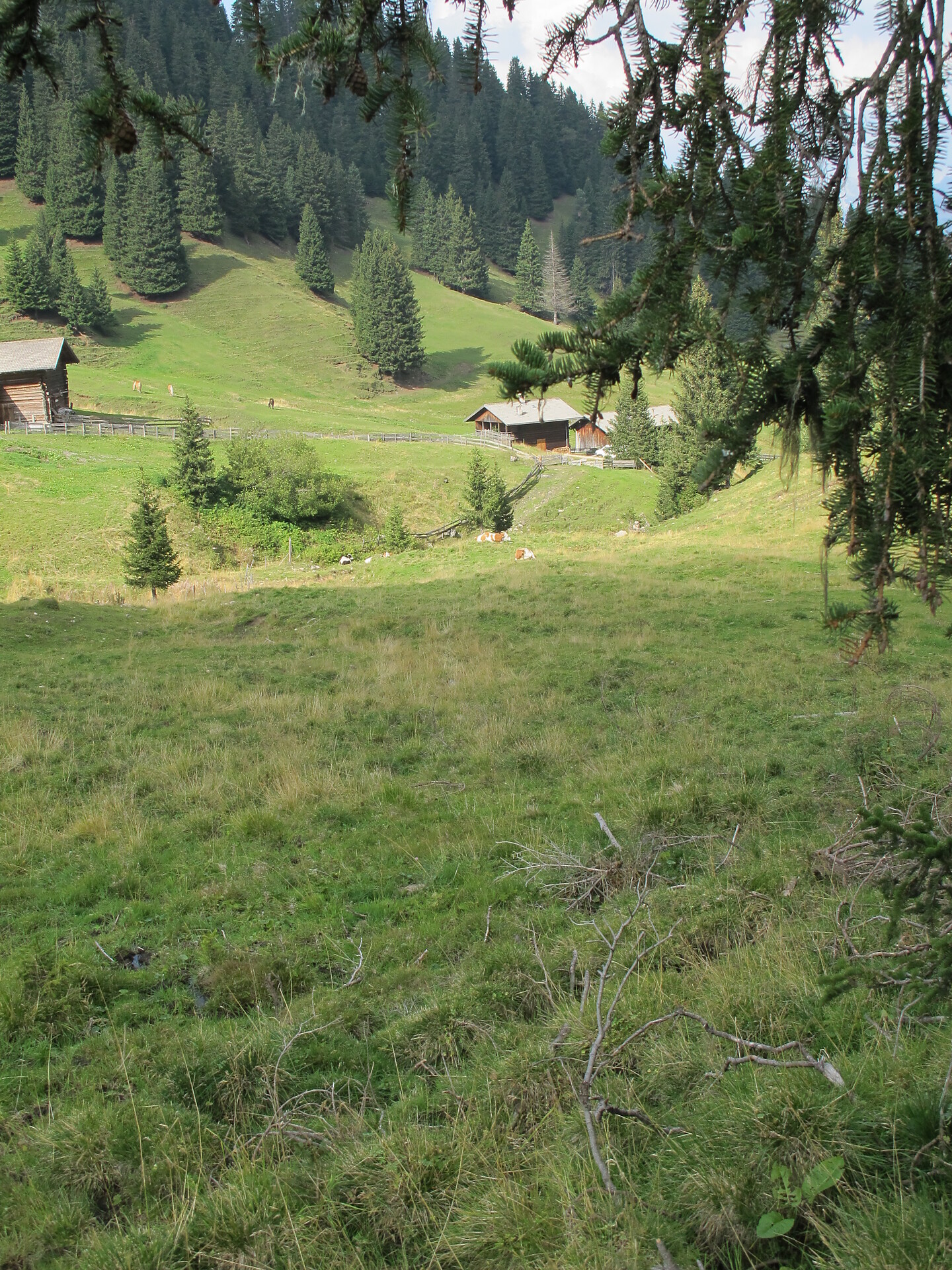Mountain hut Malfertheiner Schwaige - Dolomites Region Seiser Alm - #2 - suedtirol.info