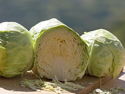 Lasa cabbage weeks